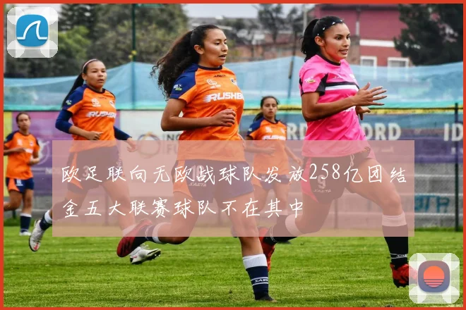 欧足联向无欧战球队发放258亿团结金五大联赛球队不在其中
